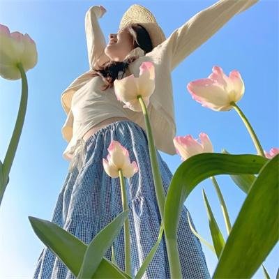 歌舞团的女人们